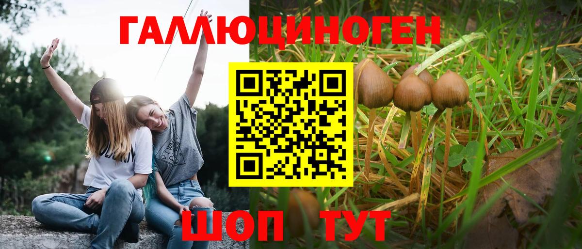 Псилоцибиновые грибы GOLDEN TEACHER Гагарин