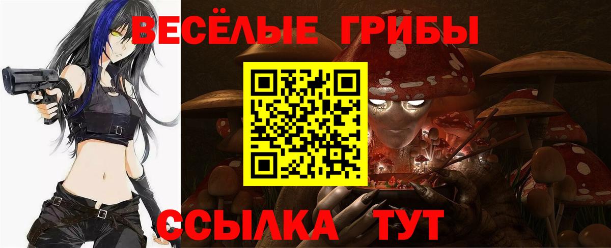 Гагарин  Псилоцибиновые грибы Cubensis  Вход с VPN 